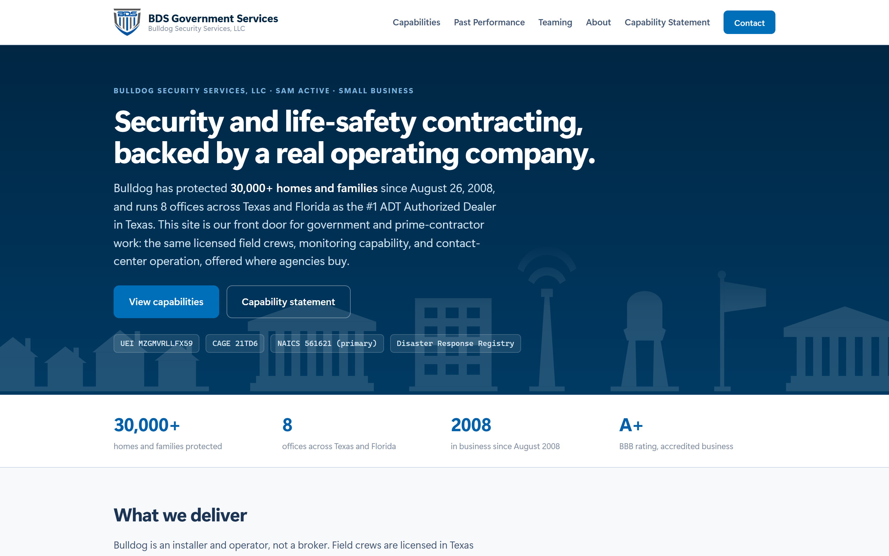 BDS Government Services homepage screenshot